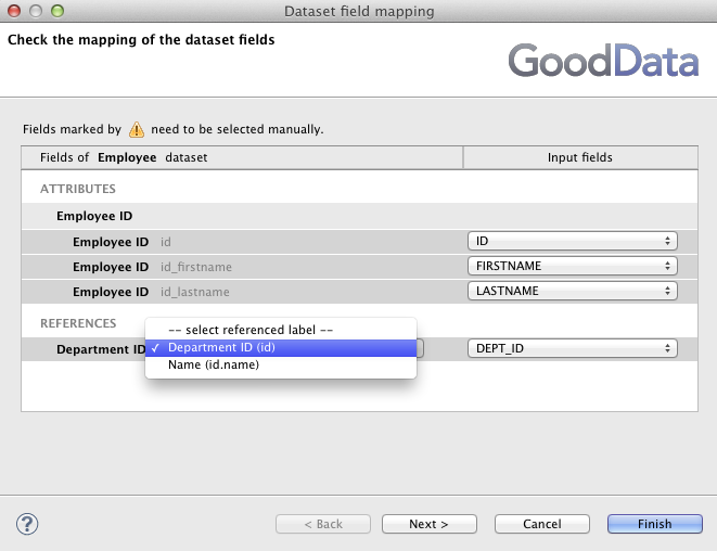 Primary label identification in the Field mapping Dialog